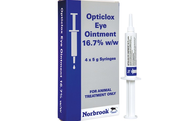 Opticlox eye ointment 5gm 5gm