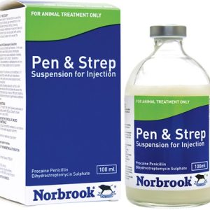PENISTREP 20/20 100 ML MEDINA