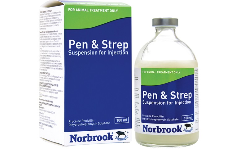 PENISTREP 20/20 100 ML MEDINA