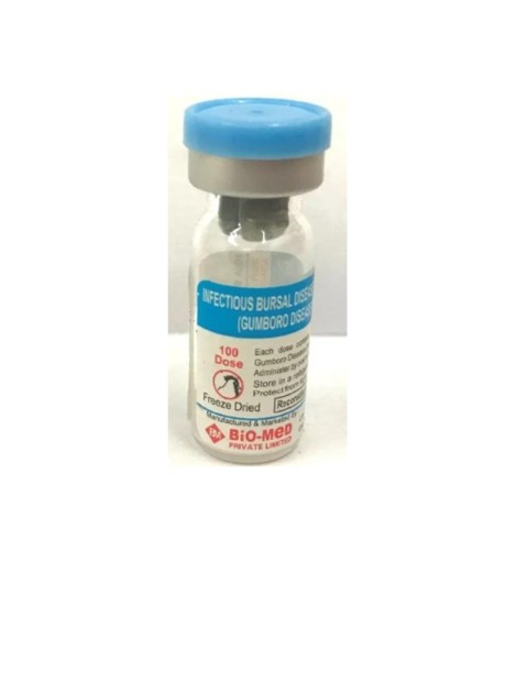 Gumboro 100doses