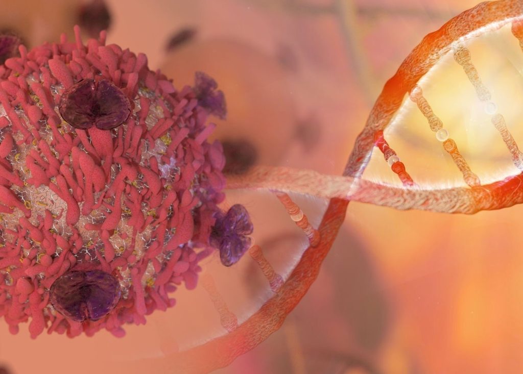 What is Cancer? World Health Organization Key Facts