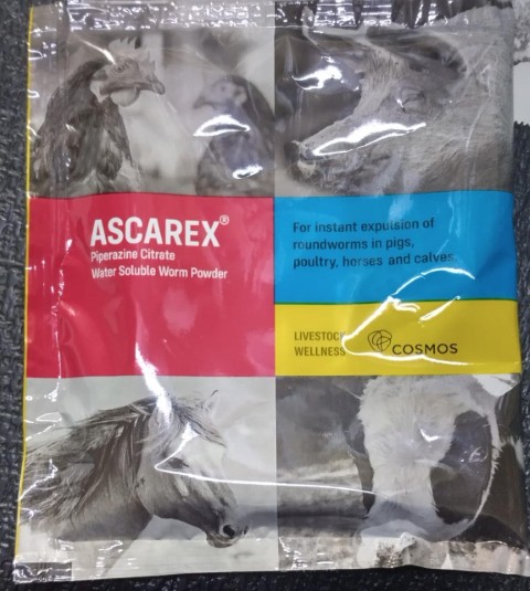 ASCAREX VET POWDER. SATCHET 30G