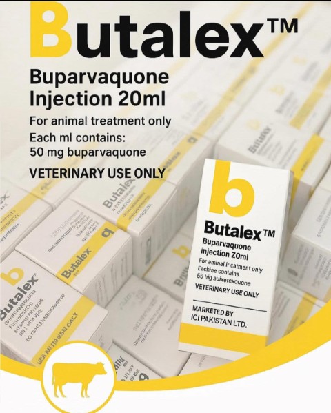 Butalex 20ml