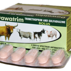 DISEPTOPRIM BOLUS –