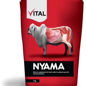 Vital nyama 1kg -