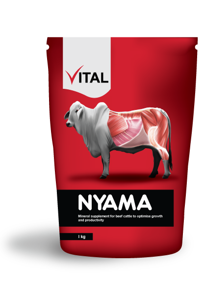 Vital nyama 1kg -