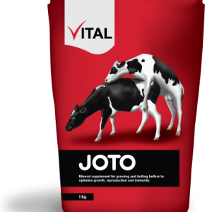 Vital joto 1kg 1kg