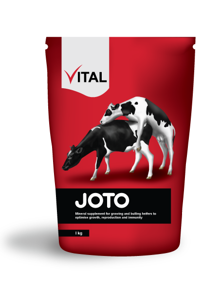 Vital joto 1kg 1kg