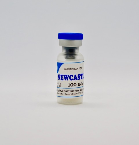 Newcastle 100doses 100doses