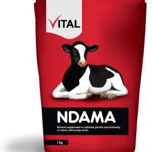 Vital Ndama 2kg