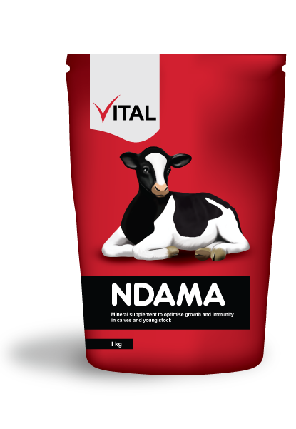 Vital Ndama 2kg