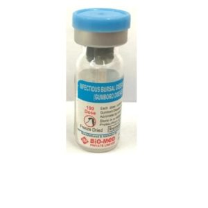 Gumboro 100doses