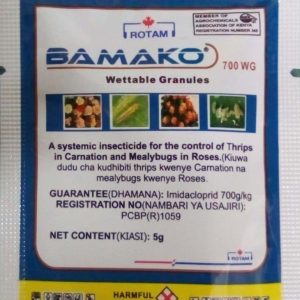 BAMAKO 5G