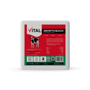 Vital BLOCK 10KG