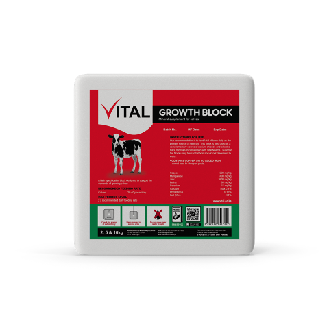 Vital BLOCK 10KG